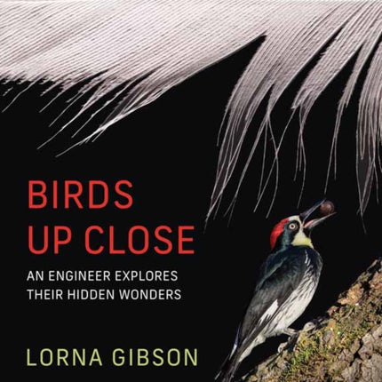 Birds Up Close