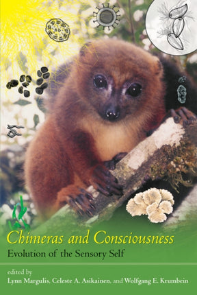 Chimeras and Consciousness  Evolution of the Sensory Self