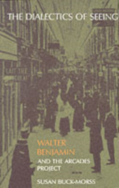 The Dialectics of Seeing: Walter Benjamin and the Arcades Project