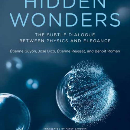 Hidden Wonders: The Subtle Dialogue Between Physics and Elegance