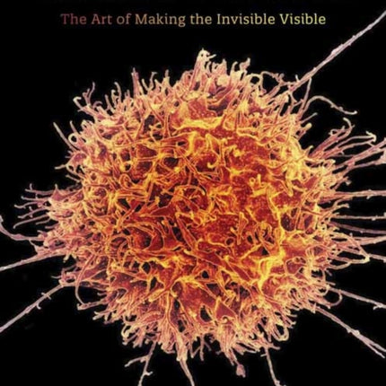 Seeing Science: The Art of Making the Invisible Visible