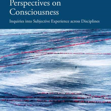 Perspectives on Consciousness and Experience