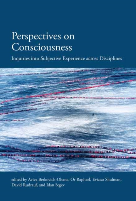 Perspectives on Consciousness and Experience
