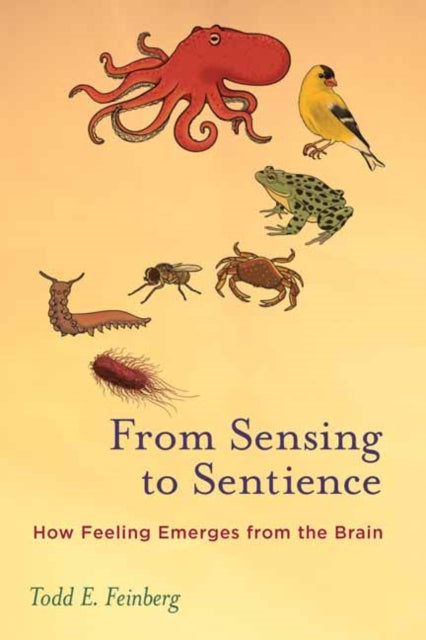 From Sensing to Sentience