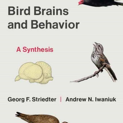 Bird Brains and Behavior