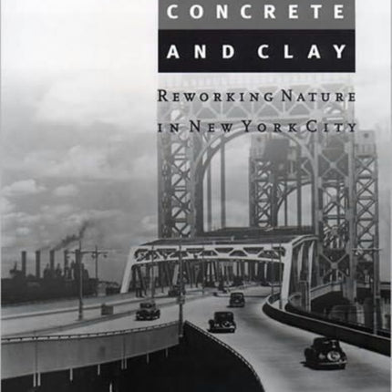 Concrete and Clay Reworking Nature in New York