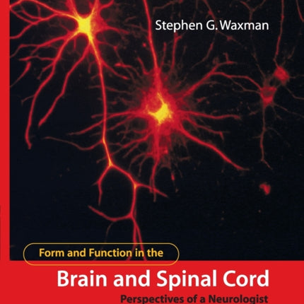 Form and Function in the Brain and Spinal Cord
