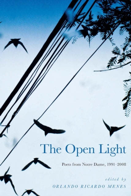 The Open Light: Poets from Notre Dame, 1991–2008