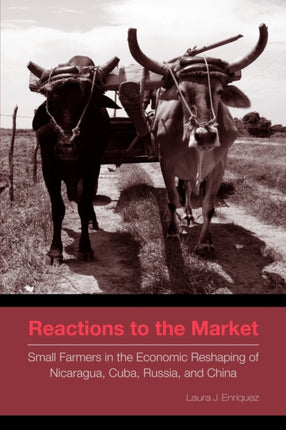 Reactions to the Market Small Farmers in the Economic Reshaping of Nicaragua Cuba Russia and China Rural Studies