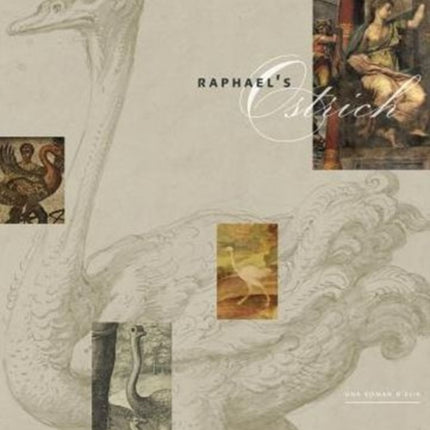 Raphael’s Ostrich