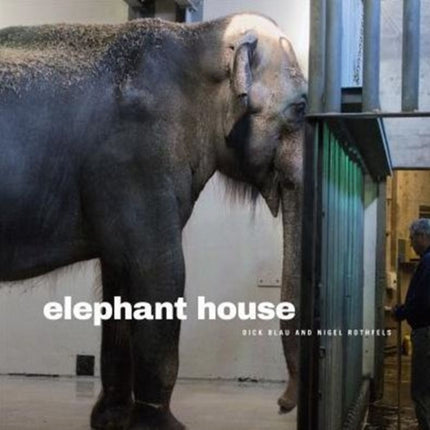 Elephant House