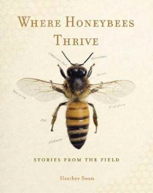 Where Honeybees Thrive: Stories from the Field