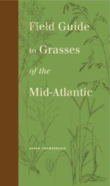 Field Guide to Grasses of the Mid-Atlantic