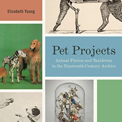 Pet Projects: Animal Fiction and Taxidermy in the Nineteenth-Century Archive