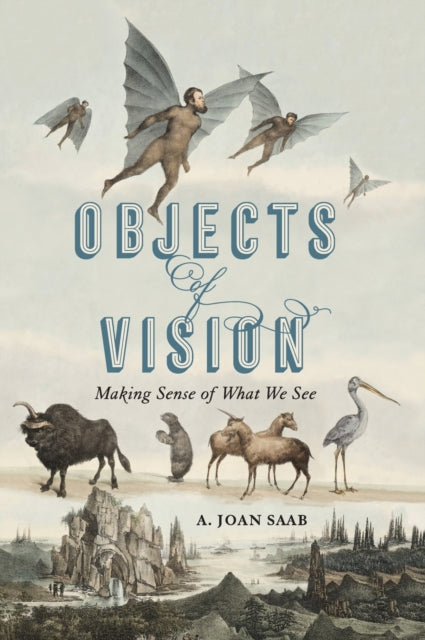 Objects of Vision Making Sense of What We See Perspectives on Sensory History 3