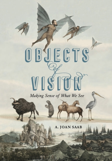 Objects of Vision: Making Sense of What We See