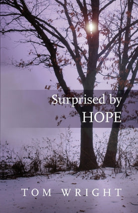 Surprised by Hope: Rethinking heaven, the resurrection and the mission of the Church