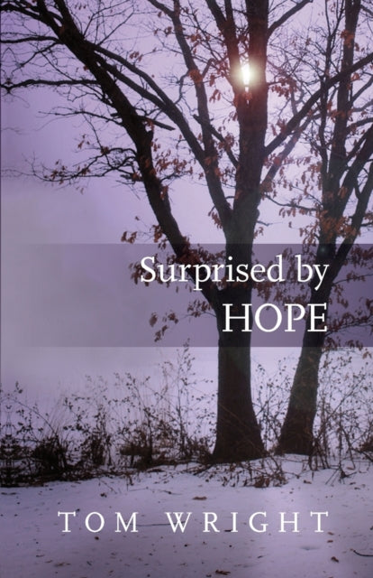 Surprised by Hope: Rethinking heaven, the resurrection and the mission of the Church