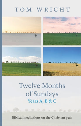 Twelve Months of Sundays Years A, B and C: Biblical Meditations On The Christian Year