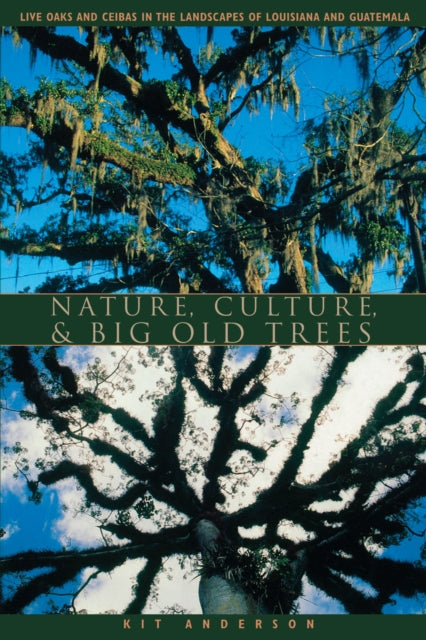 Nature, Culture, and Big Old Trees: Live Oaks and Ceibas in the Landscapes of Louisiana and Guatemala