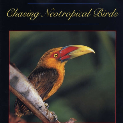 Chasing Neotropical Birds