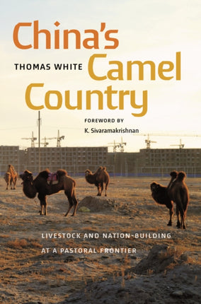 Chinas Camel Country  Livestock and NationBuilding at a Pastoral Frontier