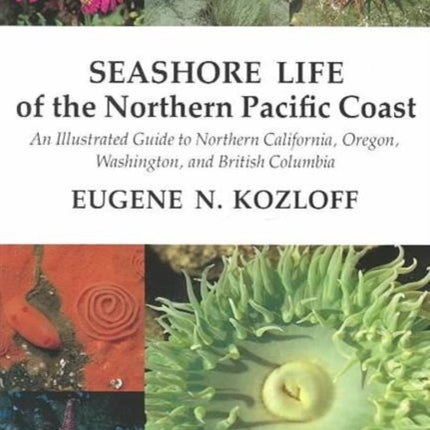 Seashore Life of the Northern Pacific Coast