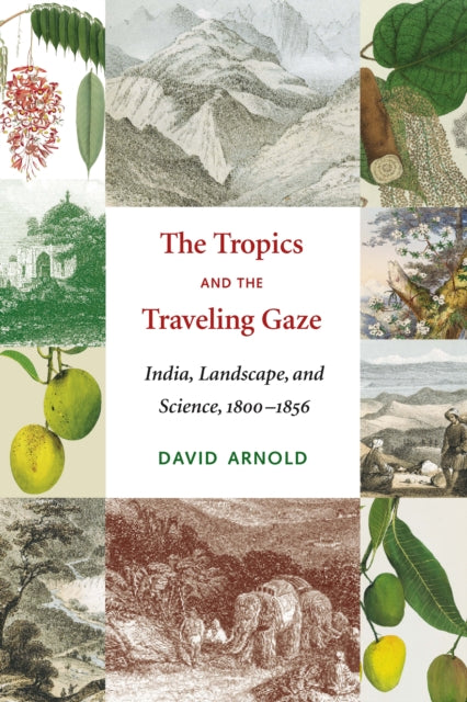 The Tropics and the Traveling Gaze: India, Landscape, and Science, 1800-1856