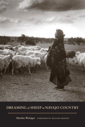 Dreaming of Sheep in Navajo Country