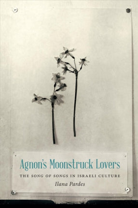 Agnons Moonstruck Lovers