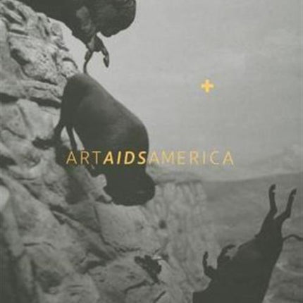 Art AIDS America