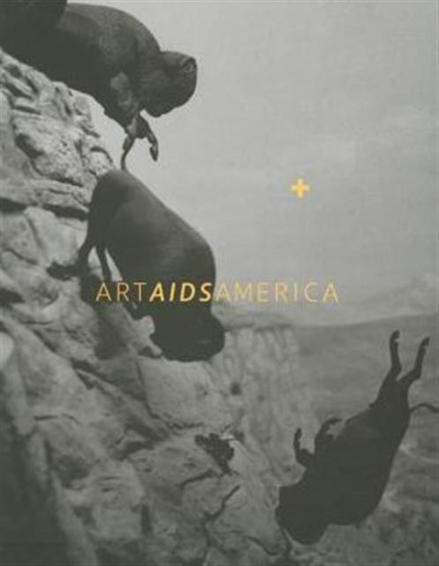 Art AIDS America