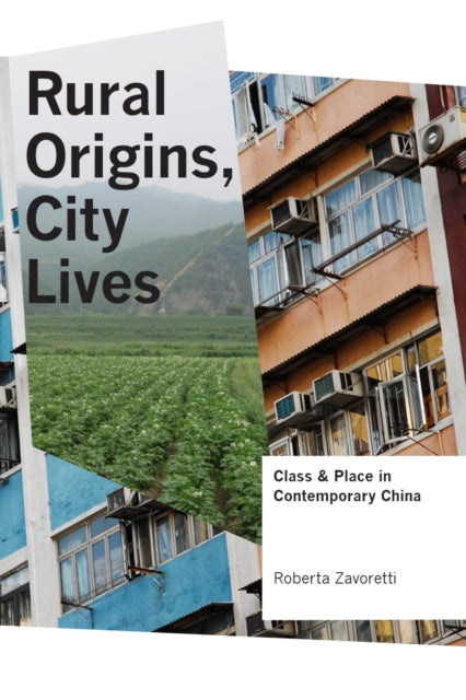 Rural Origins, City Lives: Class and Place in Contemporary China