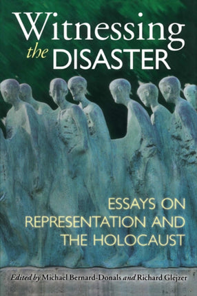 Witnessing the Disaster  Essays on Representation