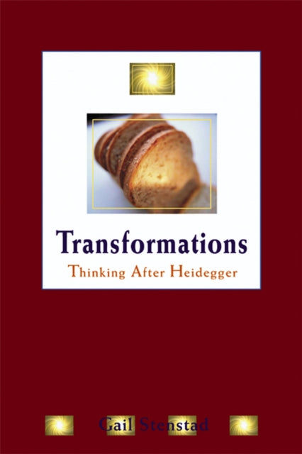 Transformations  Thinking After Heidegger