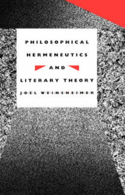 Philosophical Hermeneutics and Literary Theory