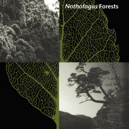 The Ecology and Biogeography of Nothofagus Forests