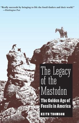 The Legacy of the Mastodon