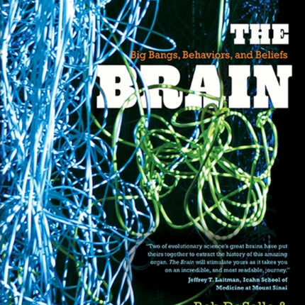 The Brain: Big Bangs, Behaviors, and Beliefs