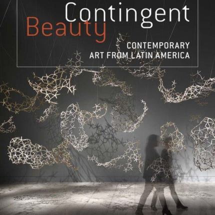 Contingent Beauty: Contemporary Art from Latin America