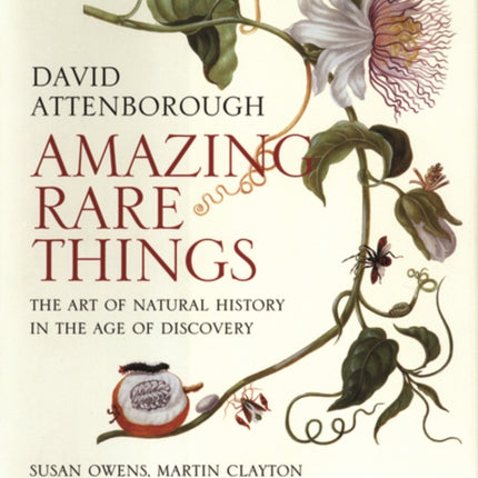 Amazing Rare Things: The Art of Natural History in the Age of Discovery