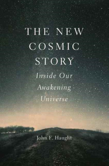 The New Cosmic Story: Inside Our Awakening Universe