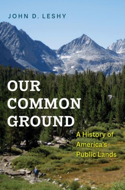 Our Common Ground A History of Americas Public
