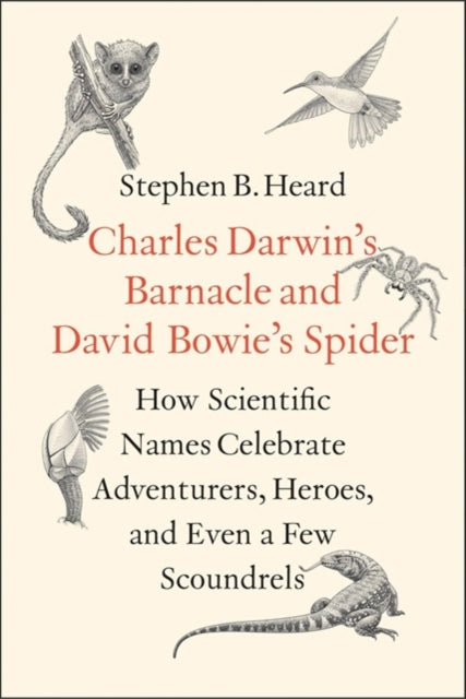 Charles Darwin's Barnacle and David Bowie's Spider: How Scientific Names Celebrate Adventurers, Heroes, and Even a Few Scoundrels