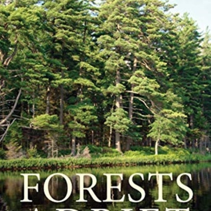 Forests Adrift: Currents Shaping the Future of Northeastern Trees