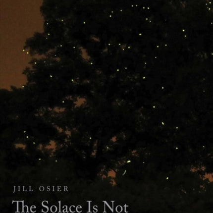 The Solace Is Not the Lullaby