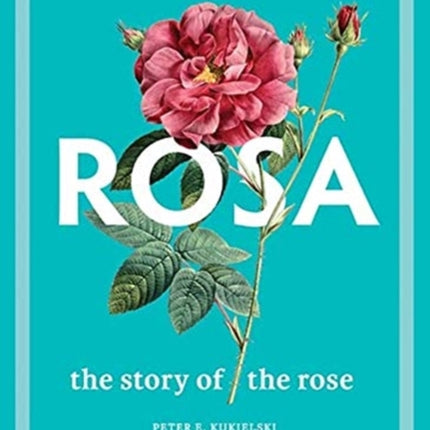 Rosa: The Story of the Rose