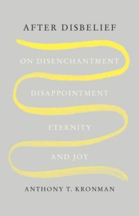 After Disbelief  On Disenchantment Disappointment Eternity and Joy