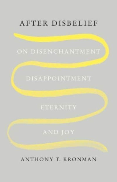 After Disbelief  On Disenchantment Disappointment Eternity and Joy