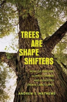 Trees Are Shape Shifters: How Cultivation, Climate Change, and Disaster Create Landscapes